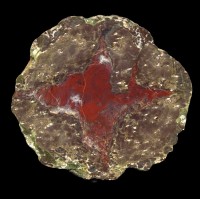 Stein's Pillar Thunderegg